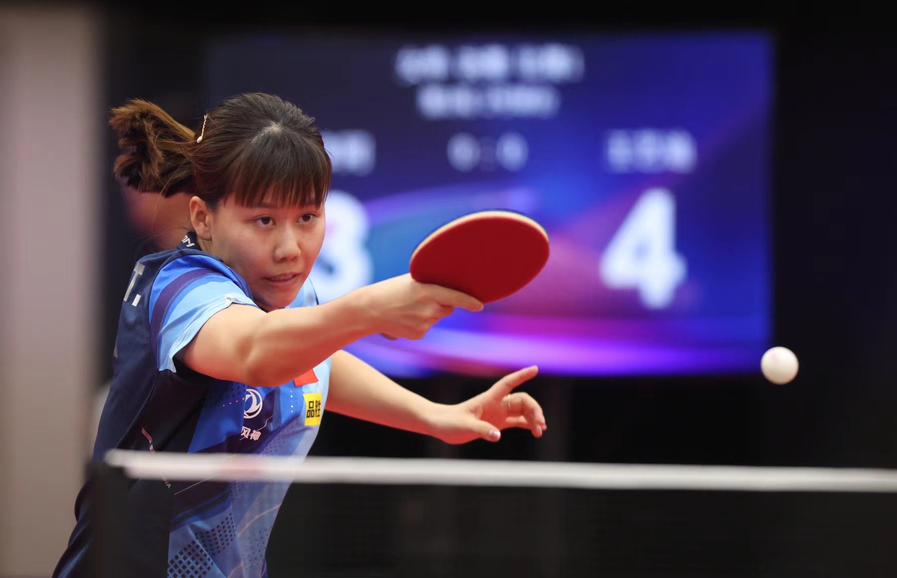 布局的一部 布局的一部