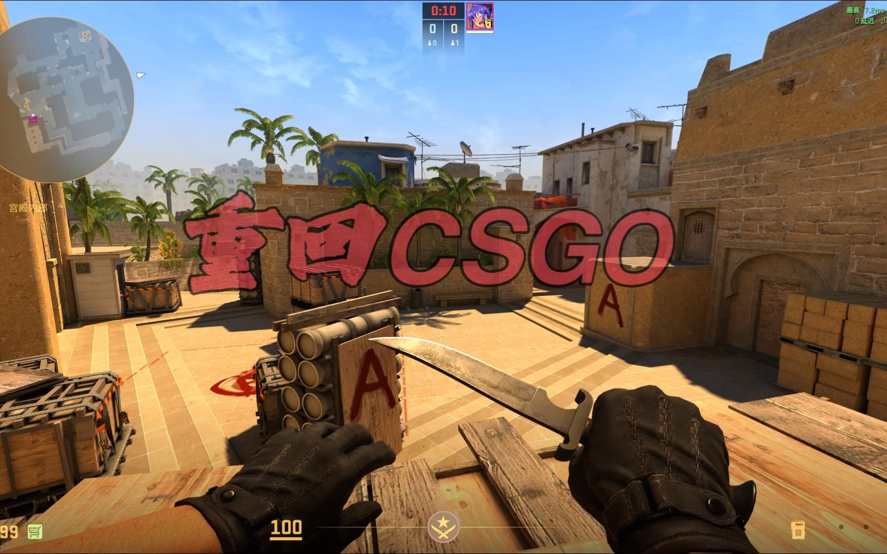 阵容的公布 阵容的公布